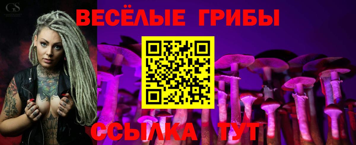 Галлюциногенные грибы прущие грибы  Галлюциногенные грибы MAGIC MUSHROOMS  Вход с VPN  Похвистнево 